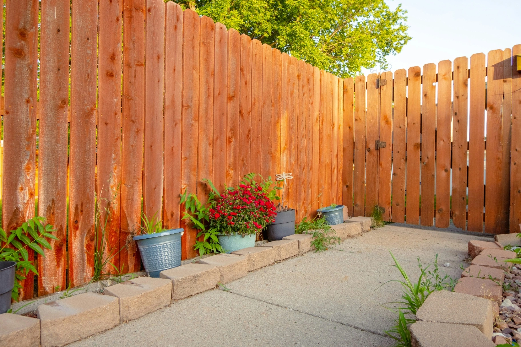 Cedar Fence Cost Calculator: Budget Your Project (2026) | Picket Blog